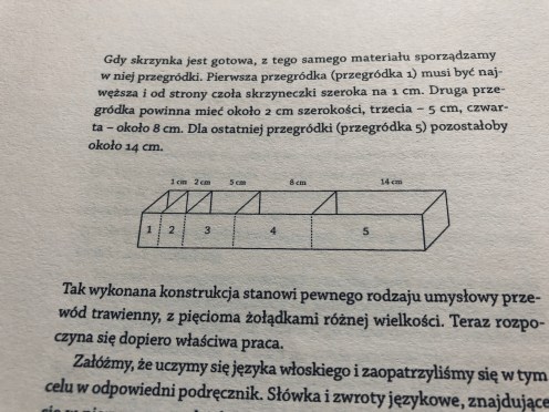 fiszki nauka języka obcego język włoski 3