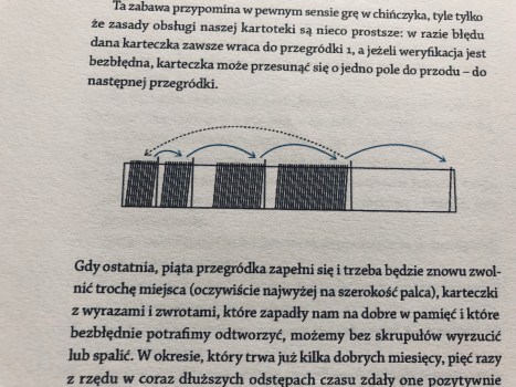 fiszki nauka języka obcego język włoski